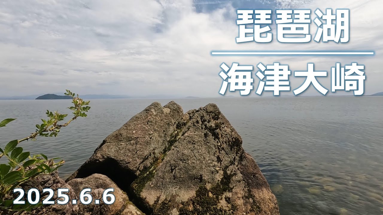 【2025年小鮎釣り】湖北・海津大崎の小鮎釣りレポート【琵琶湖】