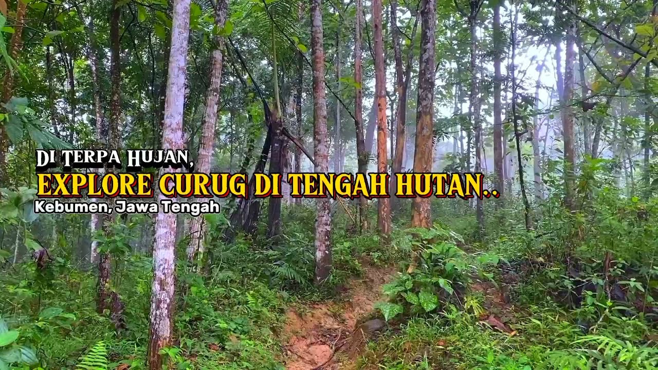 Menelusuri Hutan di Kebumen Jawa Tengah CURUG KARANG GEMANTUNG 