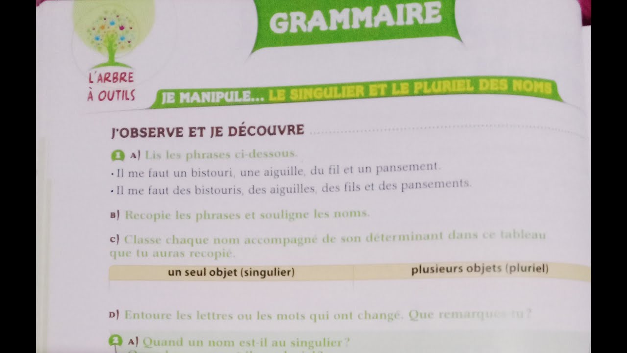Grammaire : Singulier et pluriel des noms - P40 U2 - Arbre aux mots CE1