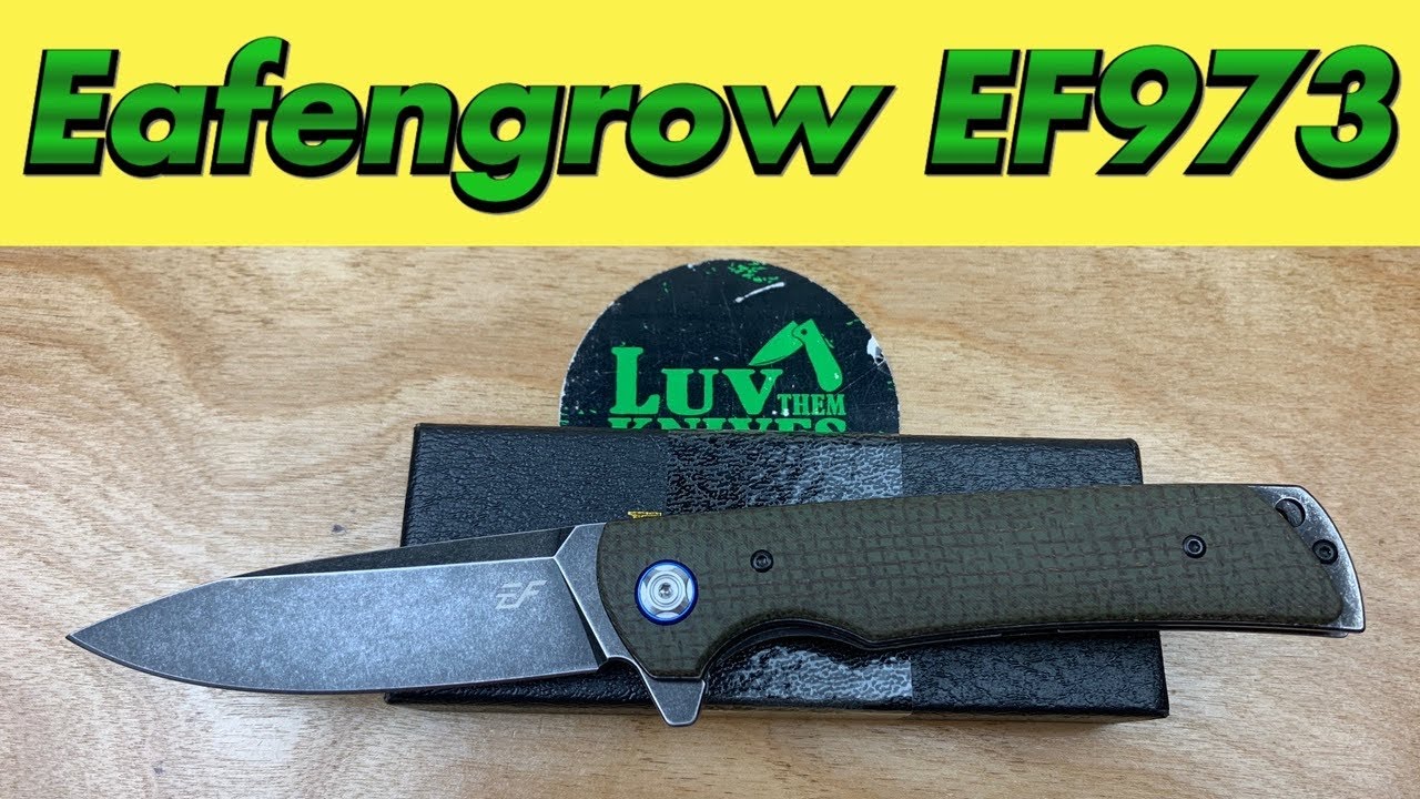 Eafengrow EF973 micarta liner lock flipper knife