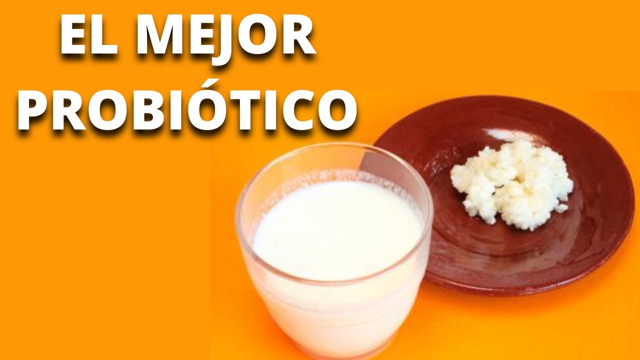KEFIR: BENEFICIOS para la SALUD de este alimento ancestral (búlgaros)