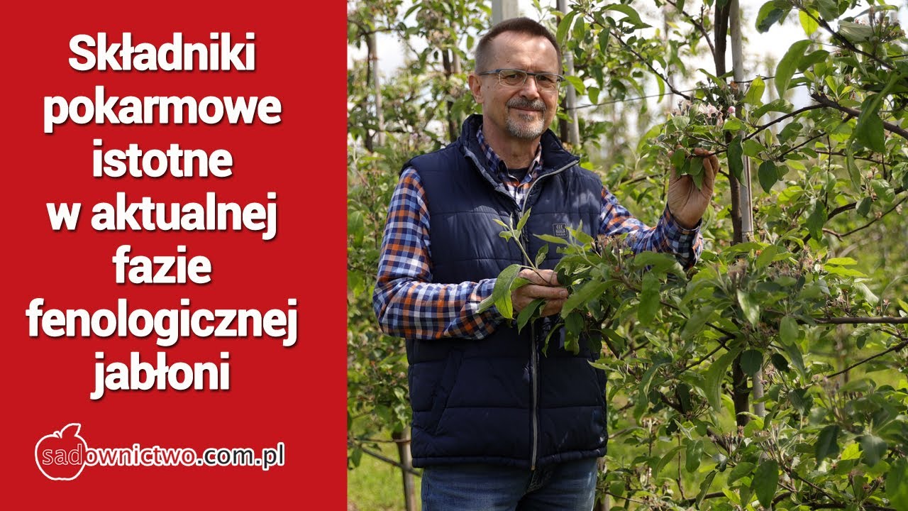 Składniki pokarmowe istotne w aktualnej fazie fenologicznej jabłoni - Wojciech Wojcieszek