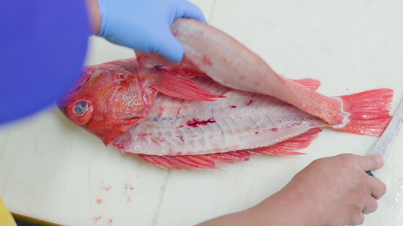 Fish Filleting - Local Vermillion - Snapper - Rock Fish