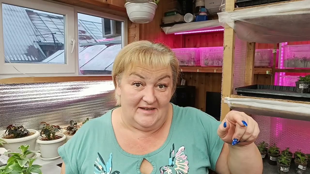🌸Грунт Traven🌸Плюсы и минусы🌸