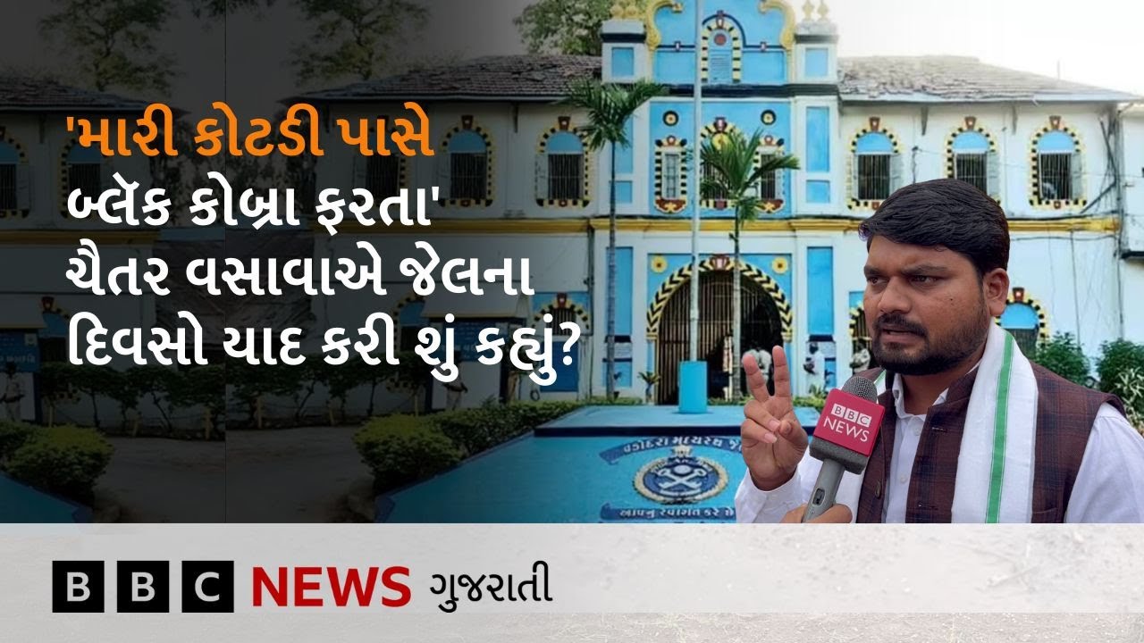 Chaitar Vasava : 'Gopal Italia વકીલ છે, હડદડના ખેડૂતો માટે લડવા કેમ ન ગયા?', ચૈતર વસાવાએ શું કહ્યું?