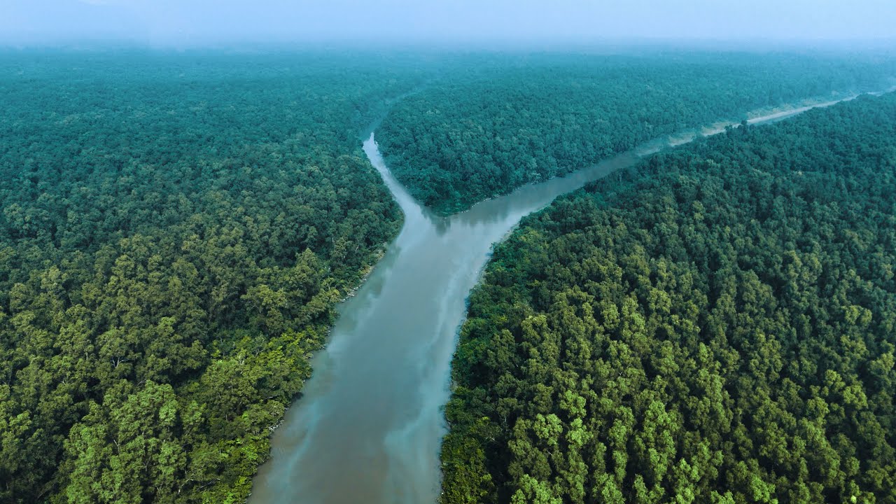 Landscape of Bhola || Bangladesh || Nihal Ahmed