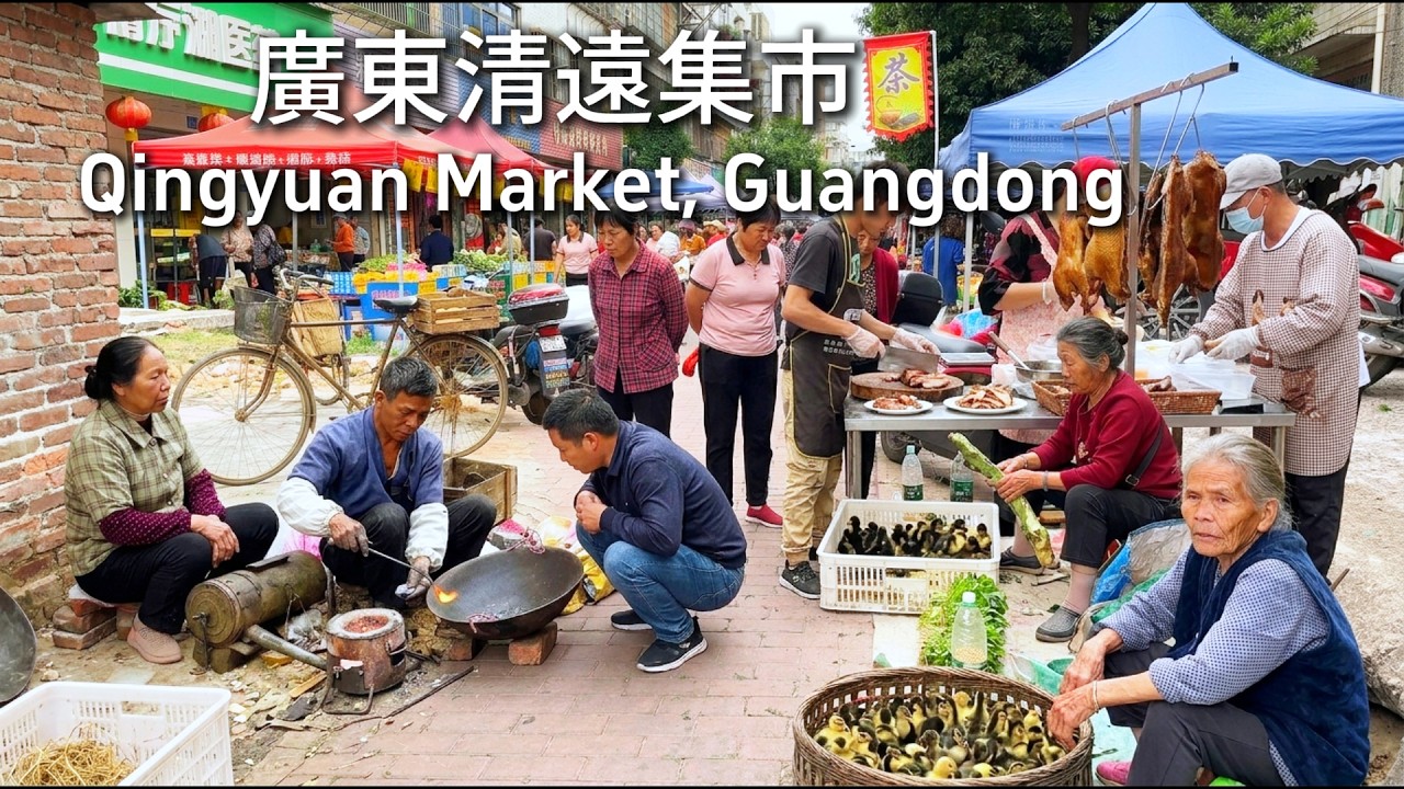 广东清远大集市！探访传统老市场，感受当地烟火气。品尝洲心大粥配烧肉，挑选正宗粤北山货！从6元一只小鸭到12元一斤大鹅，无不让人怀念儿时赶集的场景！