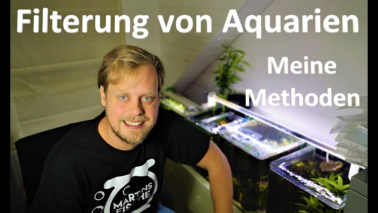 7 Filtertechniken für Aquarien - Welche Methoden setze ich ein?