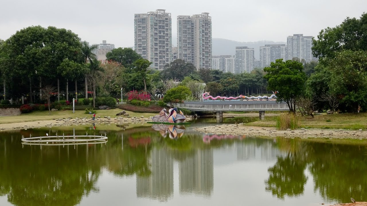 玩樂深圳，遊東湖、香蜜公園，歎羊宴1 3 2024