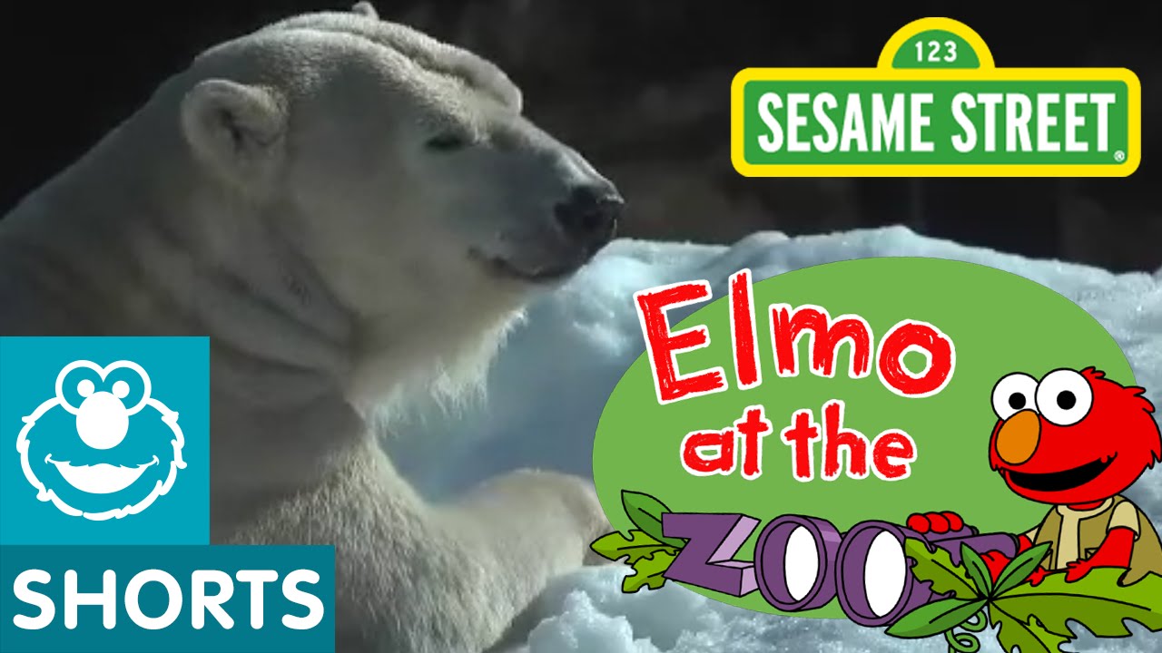 What Makes Each Animal Unique? (Elmo at the Zoo #9)