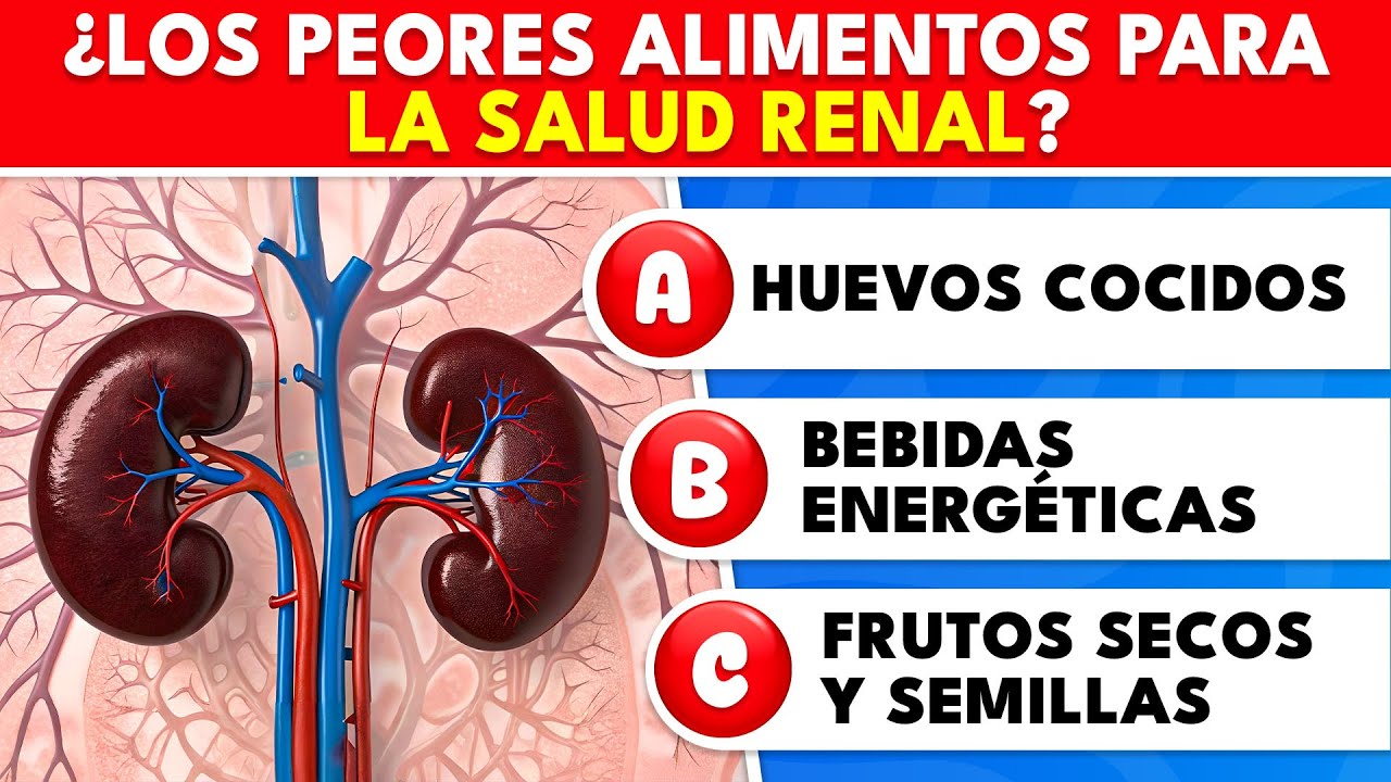 ¡El quiz definitivo sobre el cuerpo humano! 🩺 40 preguntas: ¿Cuánto sabes REALMENTE? | Knowlio - ES