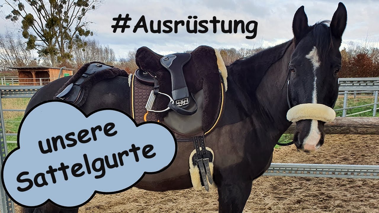 Meine Sattelgurte #Ausrüstung Mondgurt von Christ, Butterfly und Signum Sattel Kurzgurt