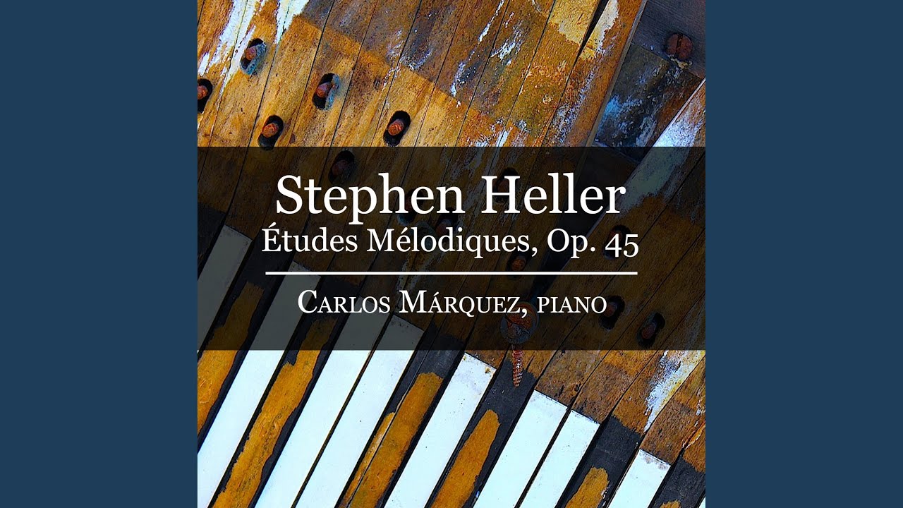Étude No. 16, Op. 45: Il Penseroso.