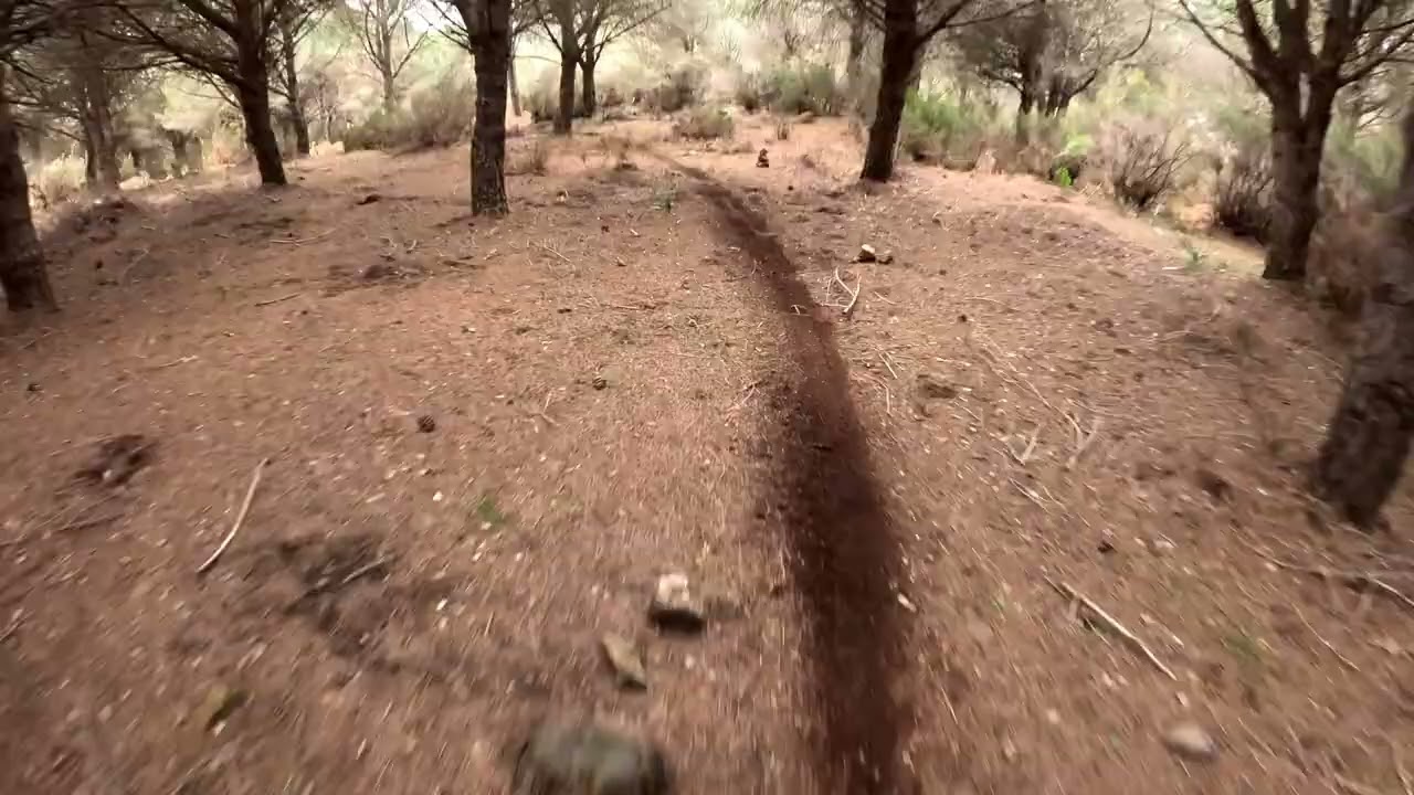 Fast lap down the local DH track!!