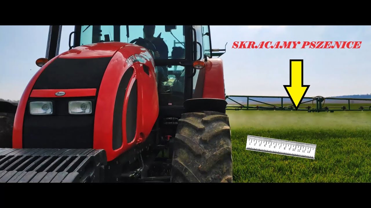 SKRACAMY PSZENICĘ # ZETOR FORTERRA 12441 # PILMET 1618 PLUS