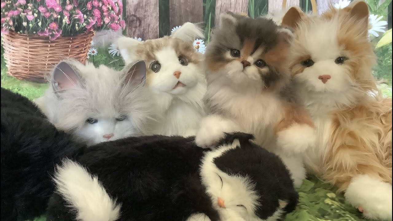 Alternatives to a Real Cat: Metacat & Joy for All Robotic Cats, MeowEver Therapy Interactive Cat etc