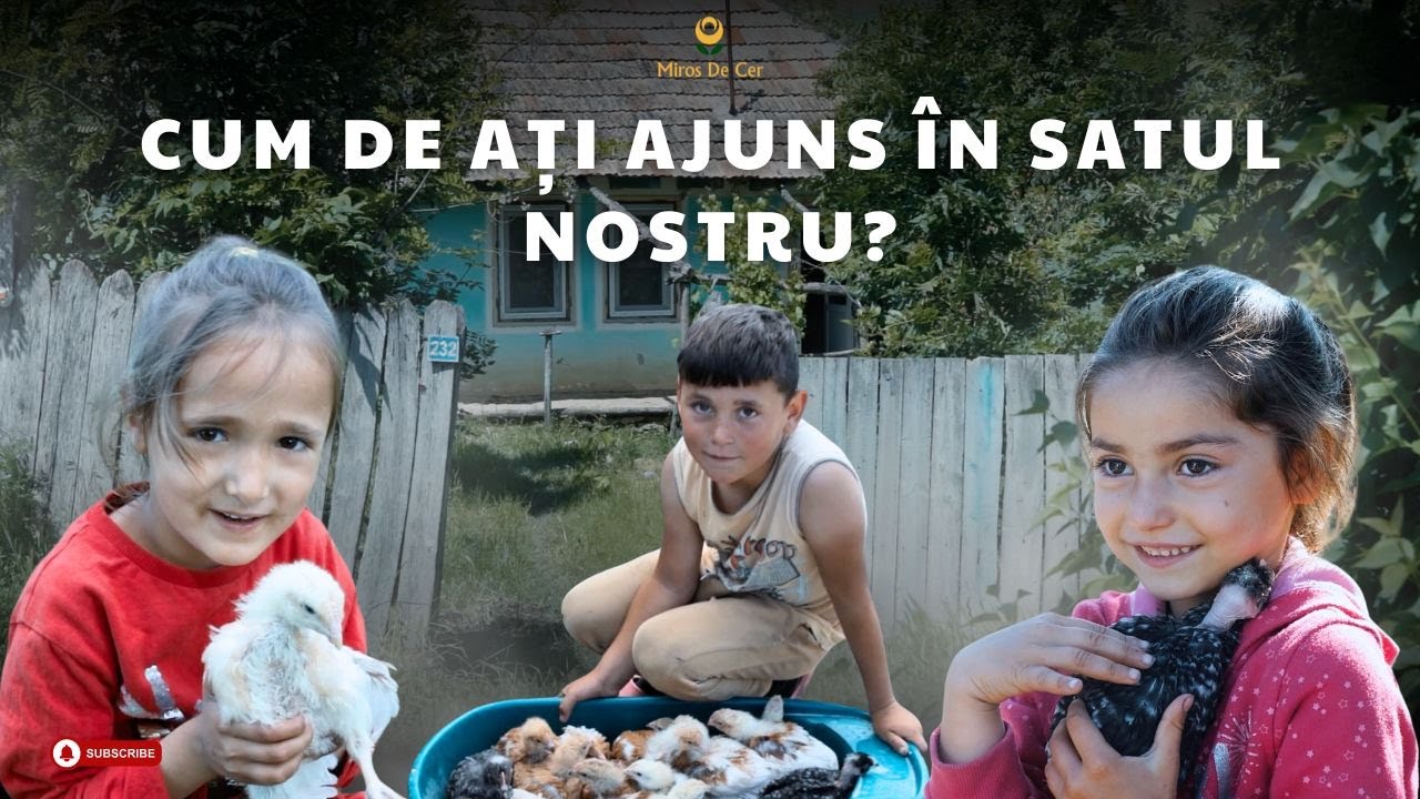 Cum de ați ajuns în satul nostru? | 𝐏𝐮𝐢𝐮𝐥 𝟐𝟎𝟐𝟒