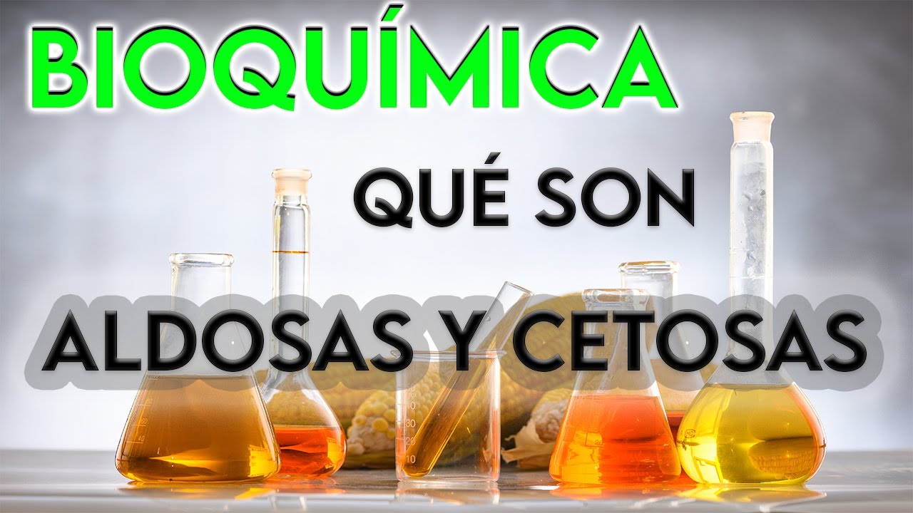 15- &iquest;QU&Eacute; SON ALDOSAS Y CETOSAS? || GL&Uacute;CIDOS.