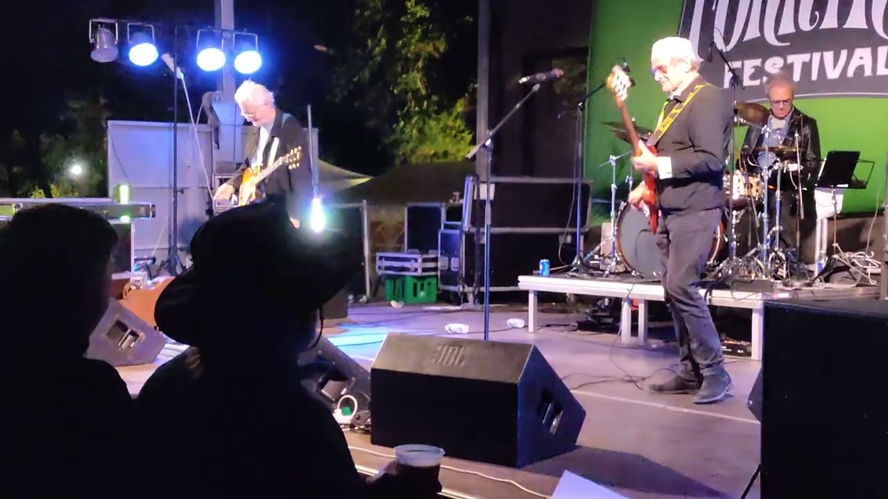 Young Flowers - Live, Kun For Forrykte Festival 2023.