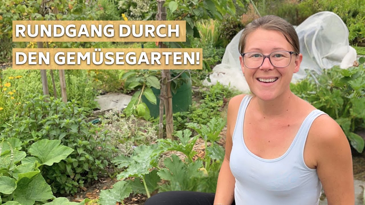 Juli im Gemüsegarten: Was jetzt wächst und schon geerntet ist 🍅 Gartenrundgang I Ich bin wieder da 😀