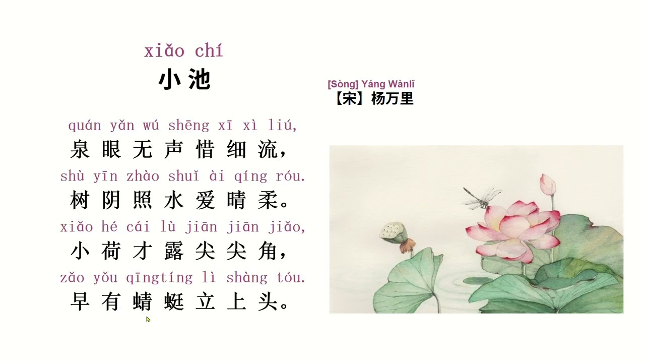 Listen to the teacher read and explain Yang Wanli’s poem 《小池》听老师朗诵并解释宋代诗人杨万里的《小池》