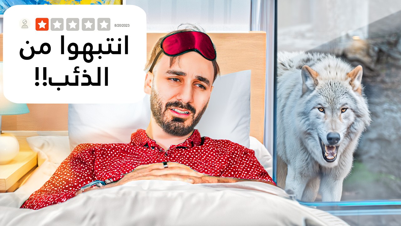 جربت اغرب فنادق العالم (حيوان في الغرفة!!) 🐺🏠