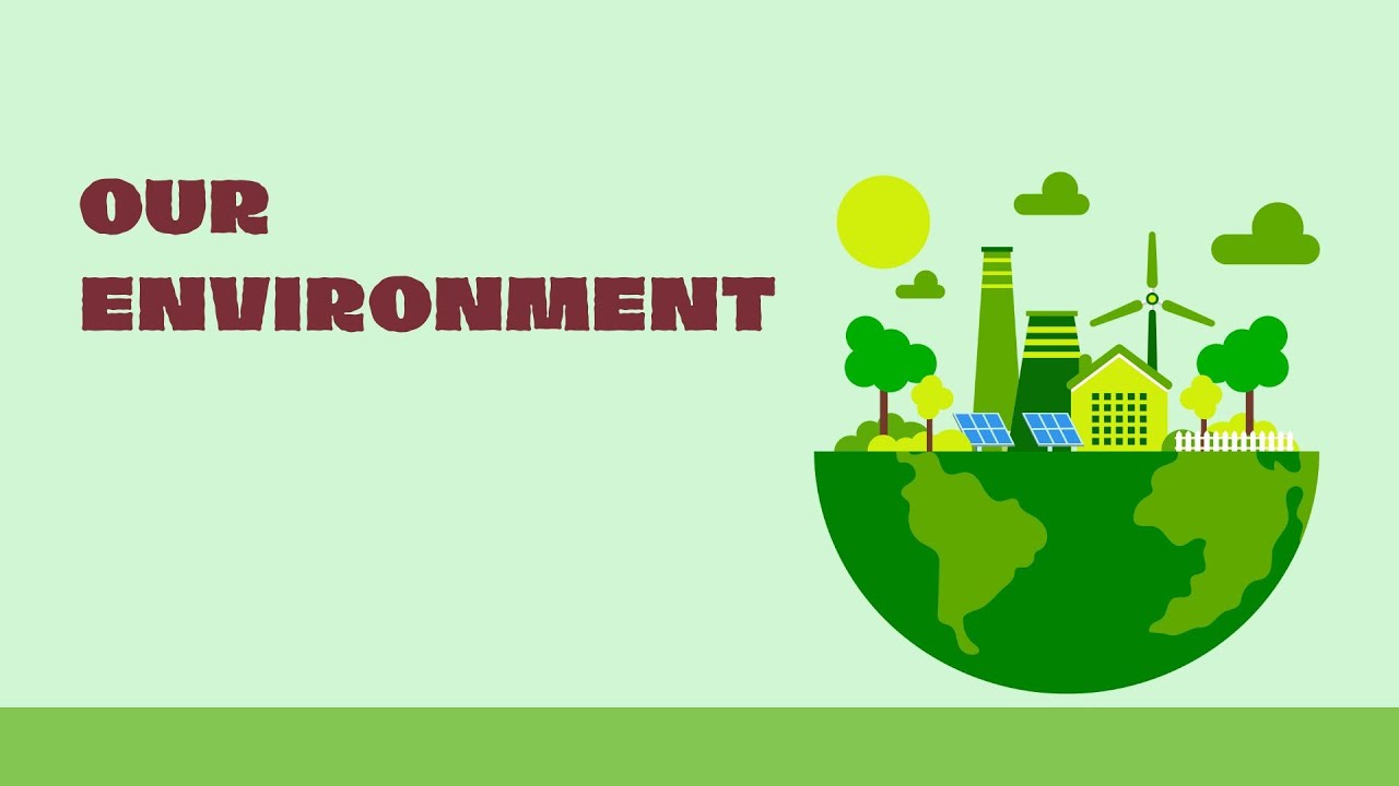 Chapter 11: Our Environment - Class 4 || Science || NCERT