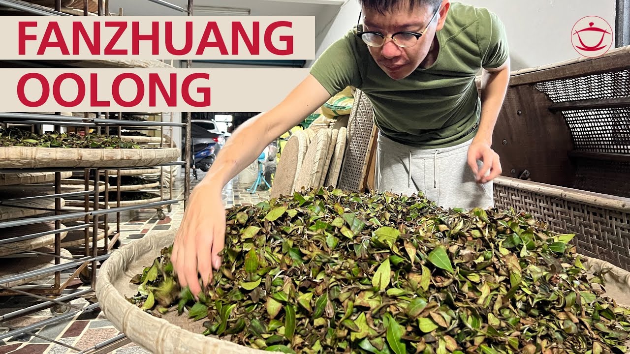 Taiwan's Forgotten Cultivars: Fanzhuang Tea Production with Simon