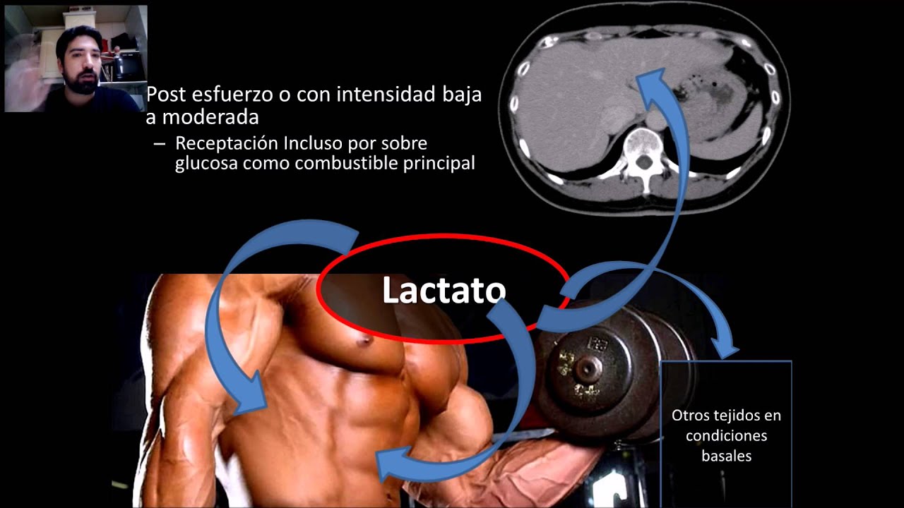 Lactico, Parte 1; Metabolismo del lactato #FOAMed #MUE #ChileEM