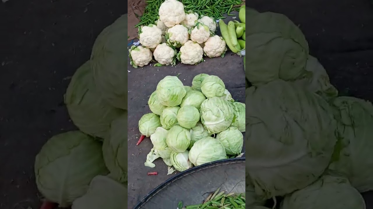New Sabzi mandi visit 16-1-26