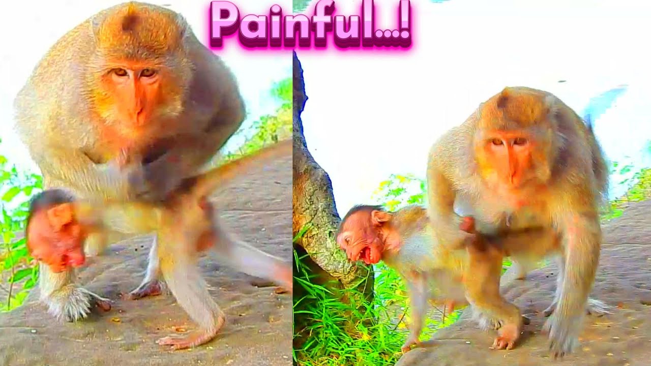 Don't K_ill Me Mom...! Forgive Me A Little Mistake, Please...!