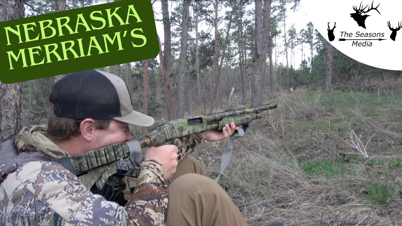 Merriam Turkey Hunt | Western Nebraska Turkey Hunting