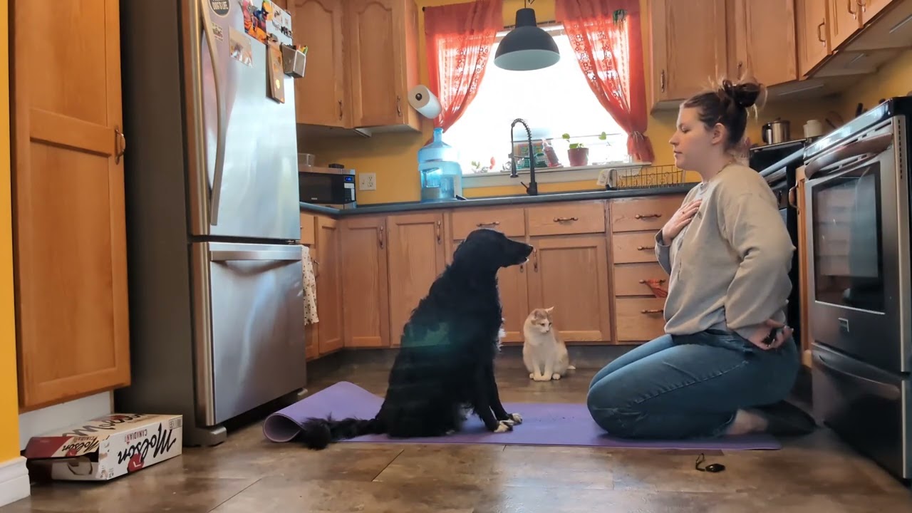 Ashley Reitmaier- Verbal cue 'dip'