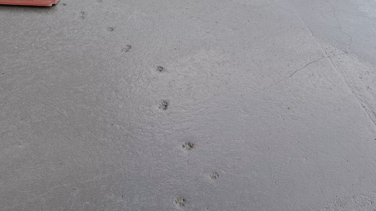 BAS ZIT IN DE PUT #VLOG58