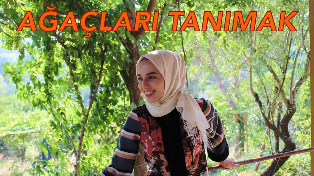Ağaçları Tanımak Üzerine Öneriler  | Ay'ın Bitkilere Etkisi