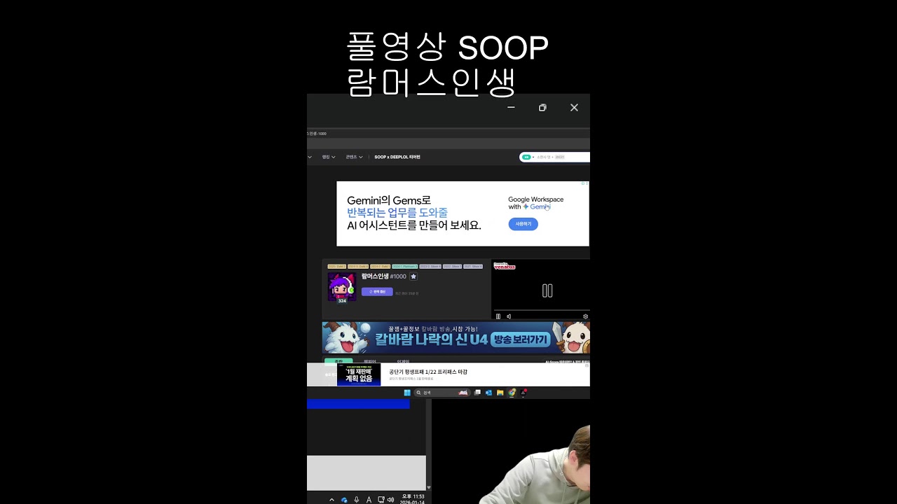 날아라 람머르기니