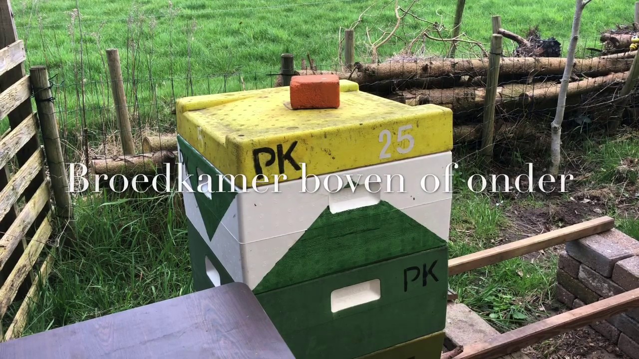 Broedkamer boven of onder