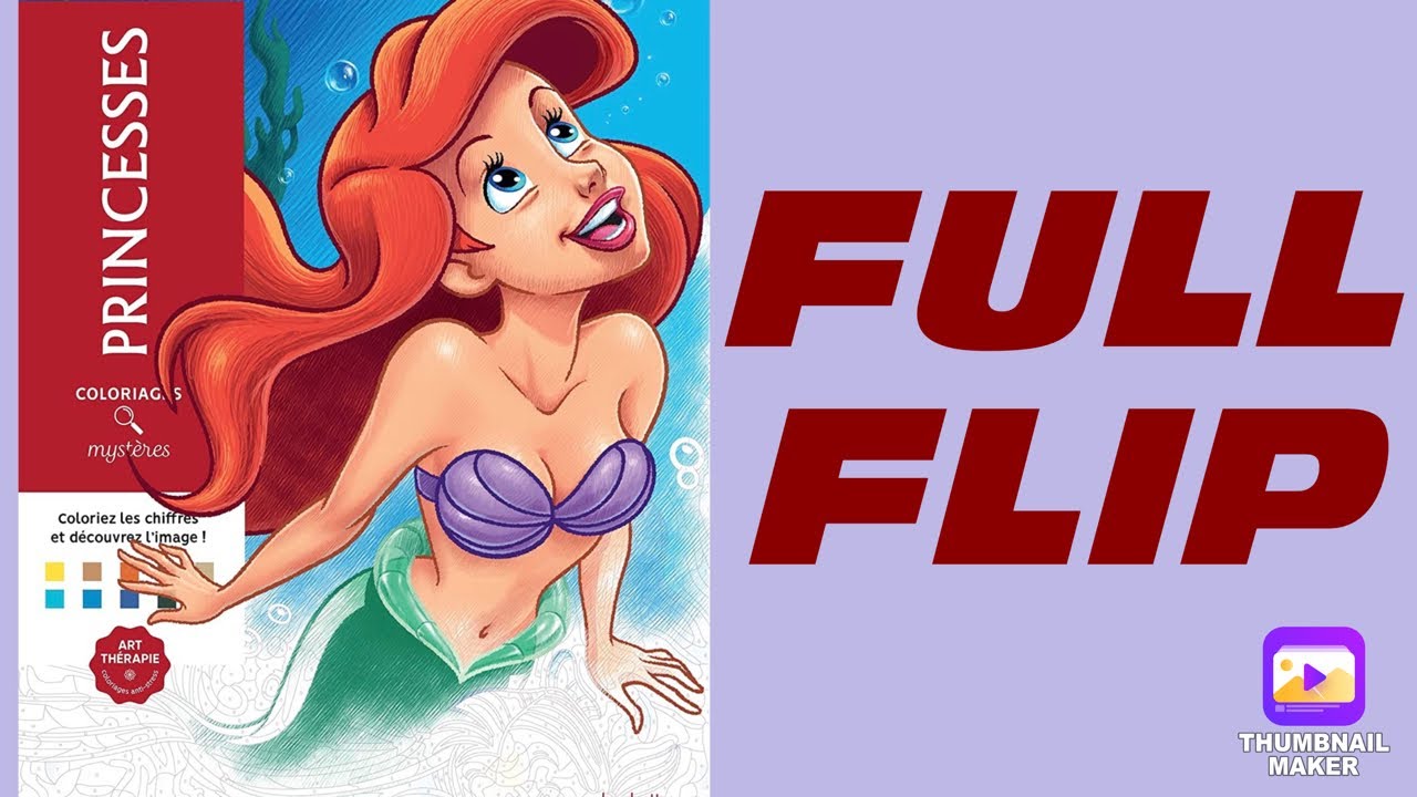 Full Flip of Hachette Heroes Princesses Book