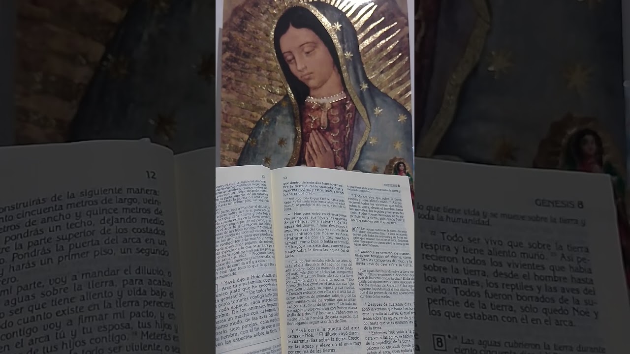 Biblia Audiolibro   GENESIS 7.   Sagrada Escritura  