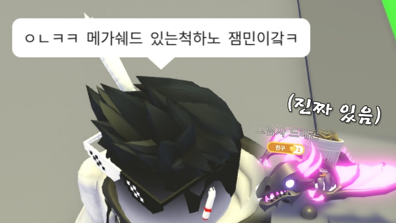 부자대결에서 메가쉐드가 나온다면? ㅋㅋ [입양하세요]