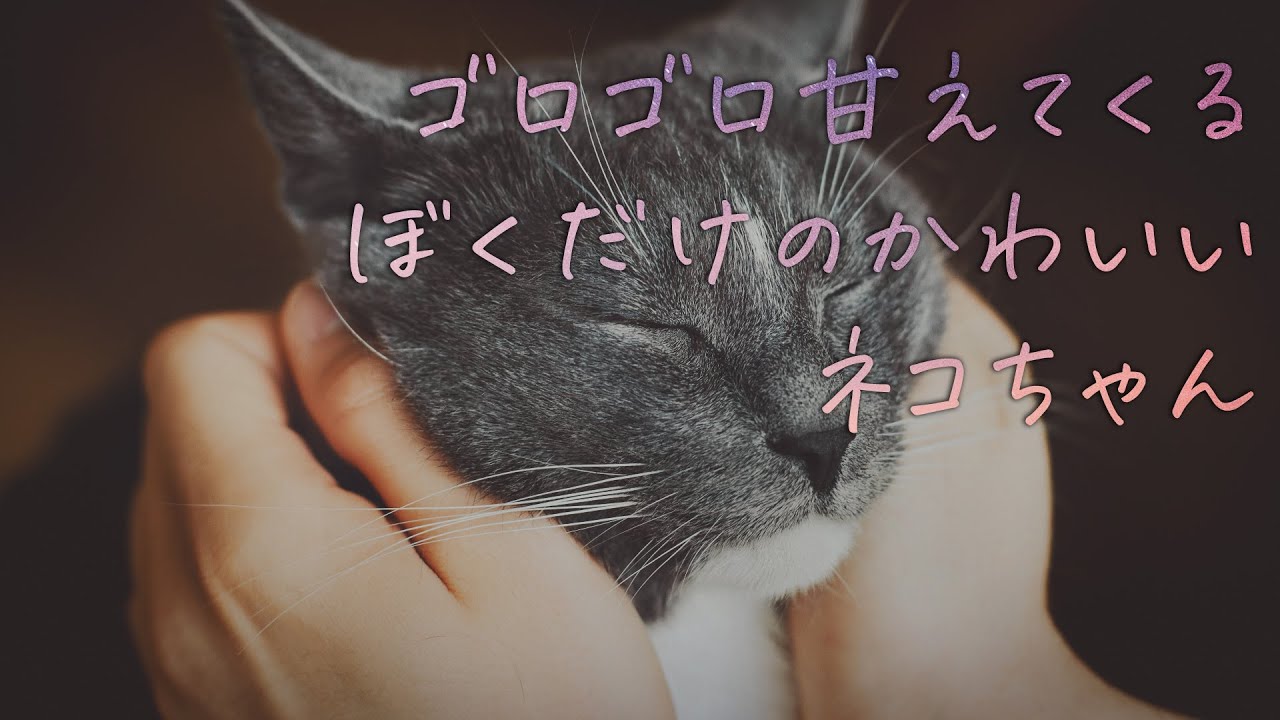 ゴロゴロ甘えてくるぼくだけのかわいいネコちゃん【女性向けシチュエーションボイス】