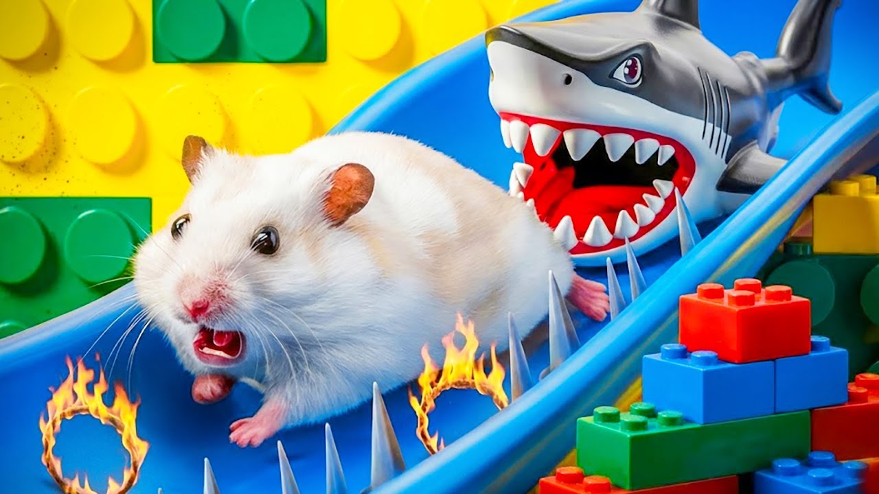 Hamster Escapes Shark in Dangerous Fire Prison Maze | Hamster Maze