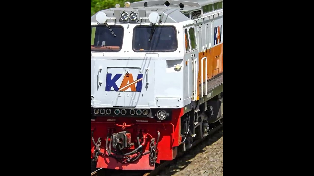 Kereta ini melintasi persimpangan #kereta #keretaapi #keretaapiindonesia #train