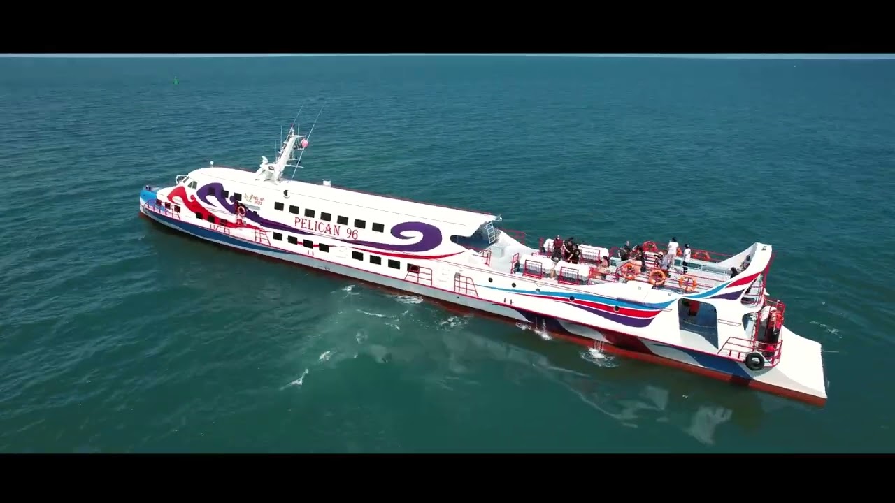 Pelican96