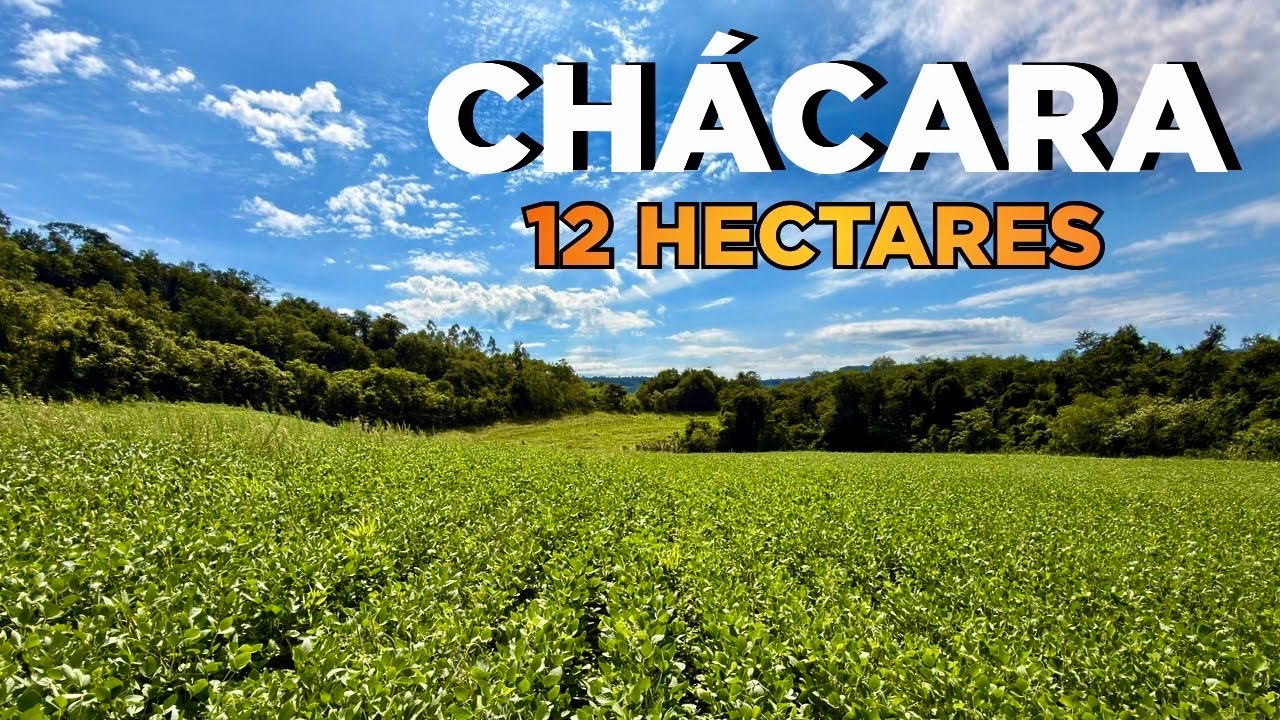 CHÁCARA A VENDA - VISTA GAÚCHA - RS | 12 HECTARES R$300MIL