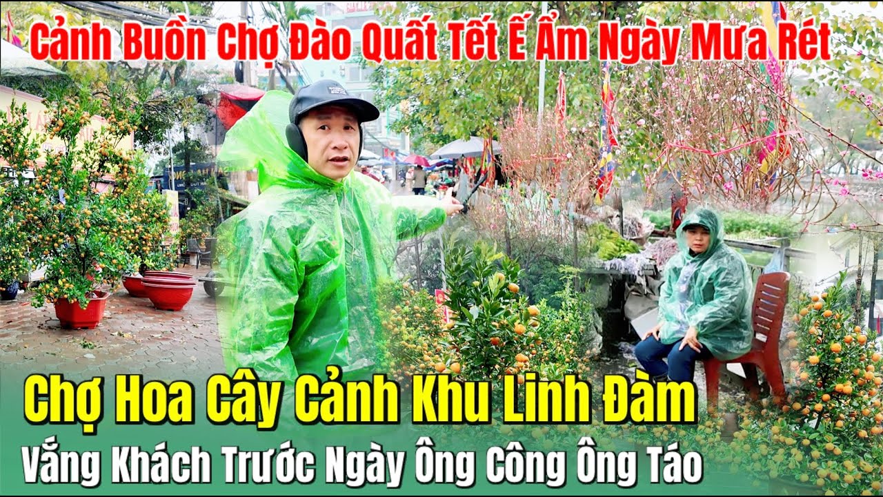 Cảnh Buồn Chợ Đào Quất Tết Ế Ẩm Ngày Mưa Rét | Chợ Hoa Cây Cảnh Khu Linh Đàm Hà Nội Vắng Khách