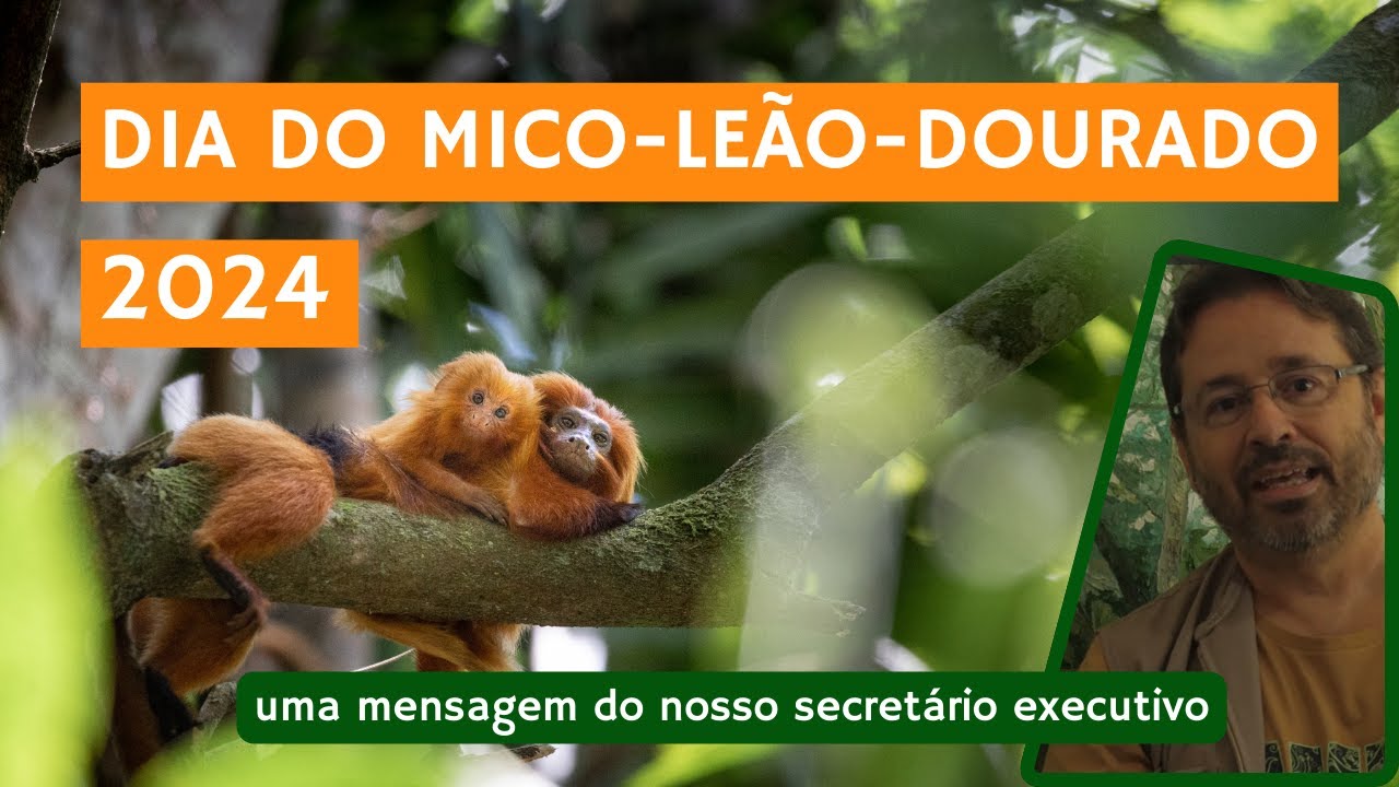 Celebrem o Dia do Mico-Leão-Dourado conosco!