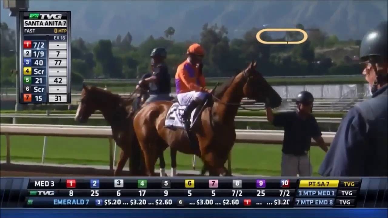 Beholder - 2016 Vanity Handicap