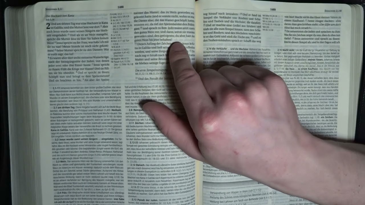 Johannes, Kapitel 2 (Schlachter Version 2000)