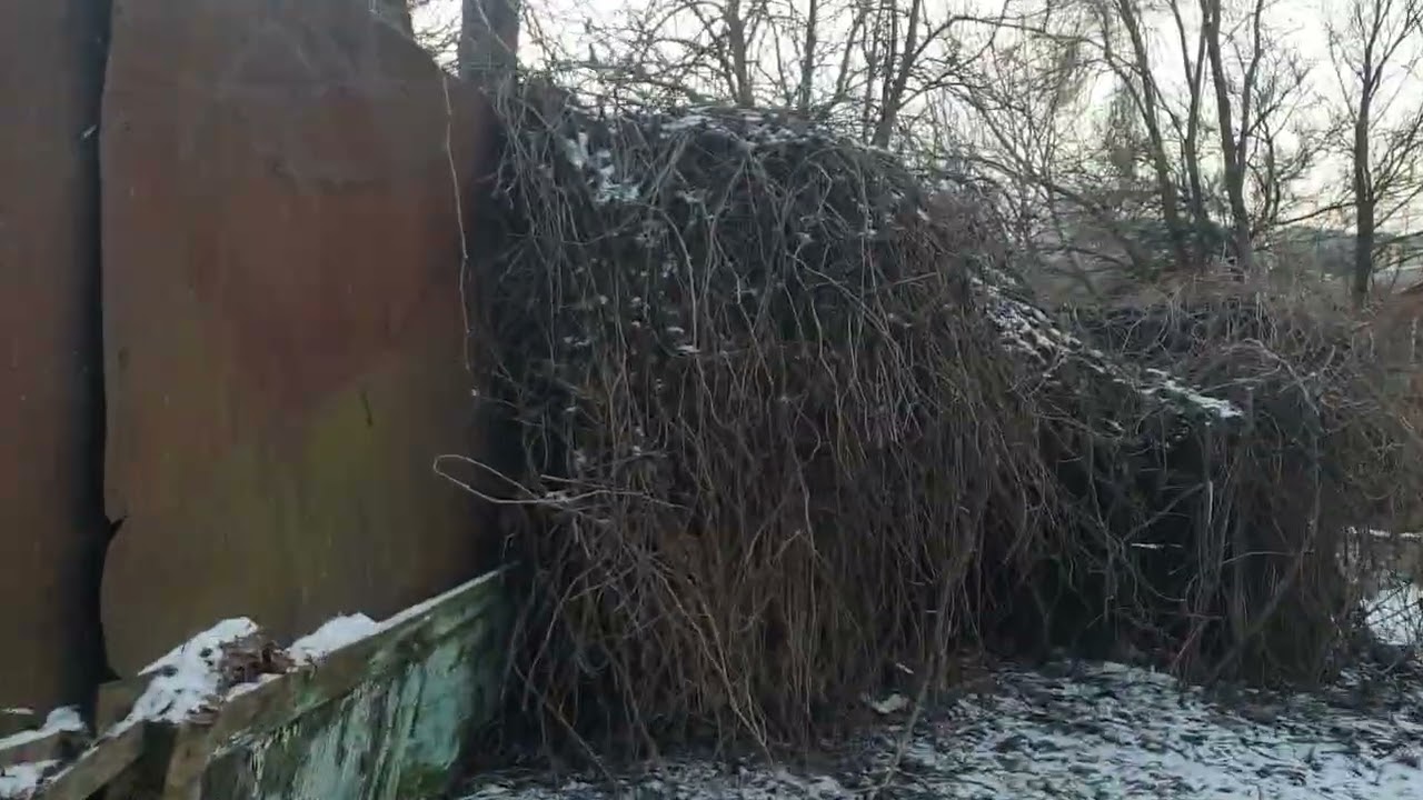 Купила  то что надо  было  срочно!